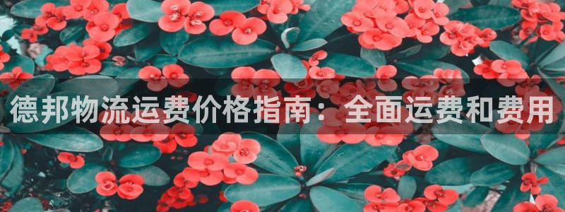 28圈为什么打不开