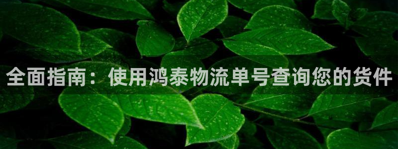 28圈下载二维码