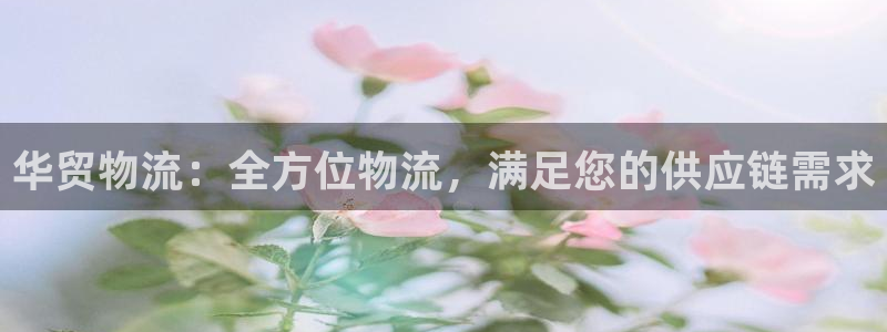 28圈充值不到账怎么回事