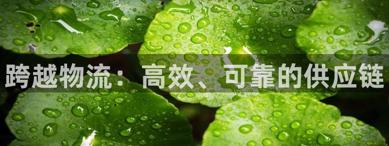 28圈.ccmpc预测