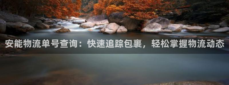 28圈官网版2024
