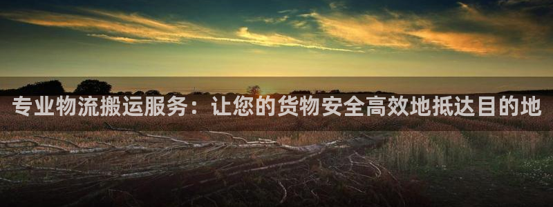 28圈加拿大官网