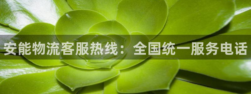 28圈官方