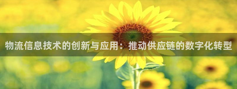 28圈登陆网