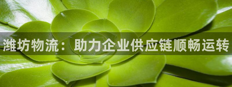 28圈加拿大28