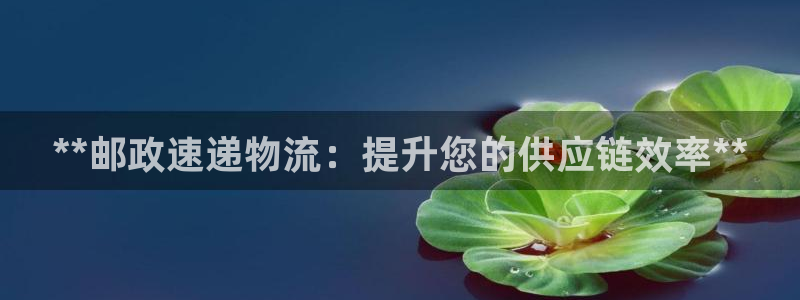 28圈赌博被抓