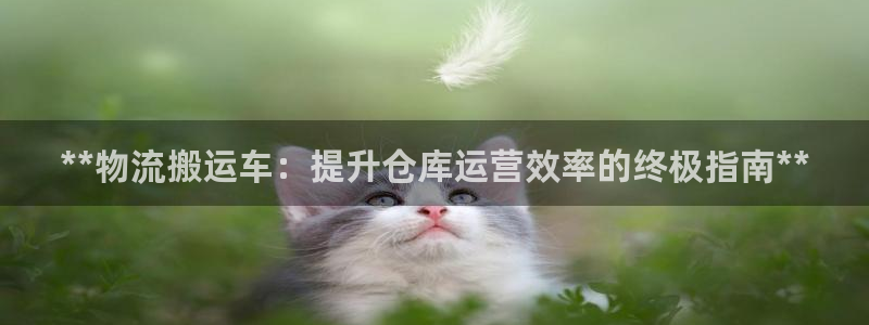 28圈官方