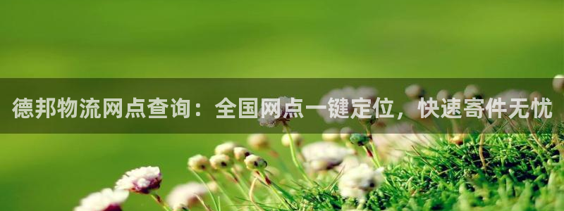 28圈加拿大是什么意思