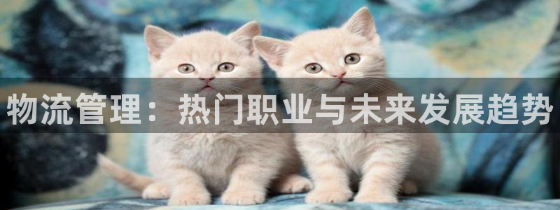 自行车28圈是什么意思