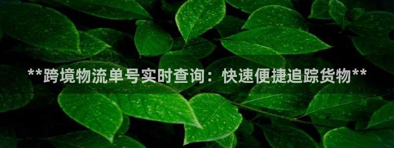 28圈下载二维码