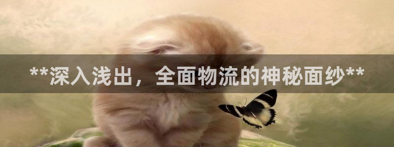 28圈加拿大是什么