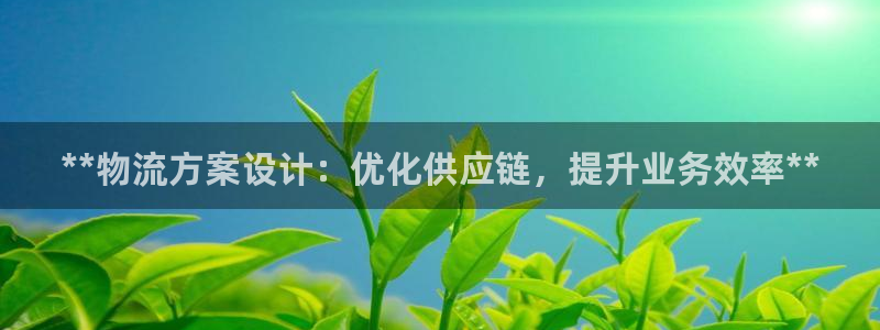 28圈充值不到账什么原因