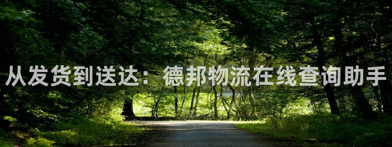 28圈加拿大在线预测