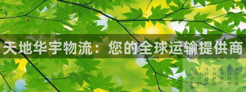 28圈预测