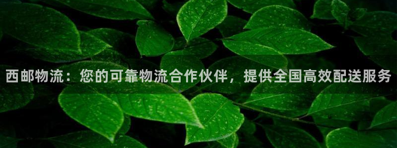28圈p扣款什么意思