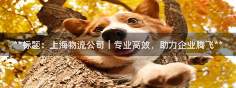 28圈激活码