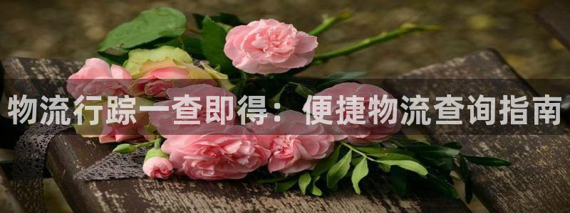 28圈加拿大预测