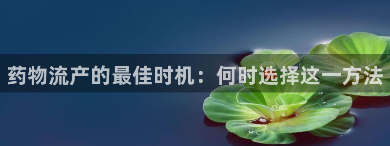 28圈.ccmpc预测