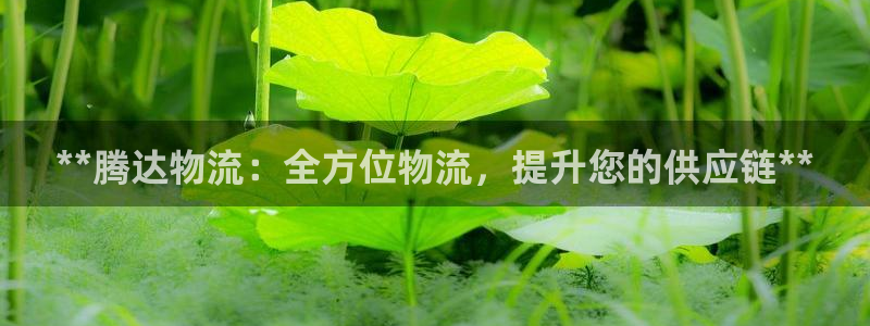 28圈人头费