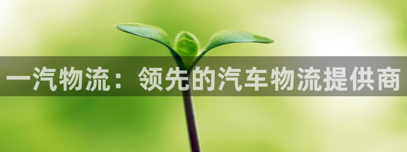 28圈充值不处理怎么办