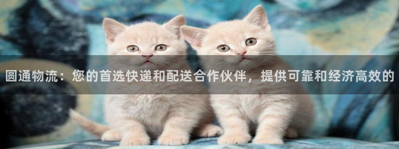 28圈游戏最新版