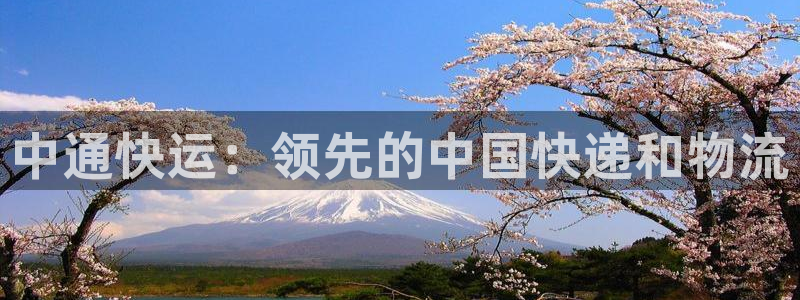 28圈加拿大真假怎么看