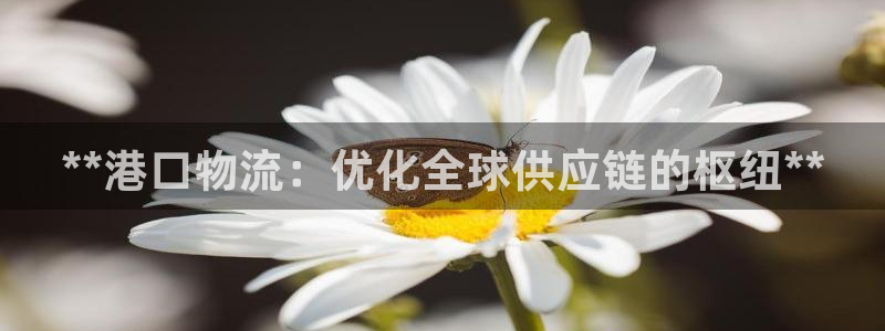 28圈模拟