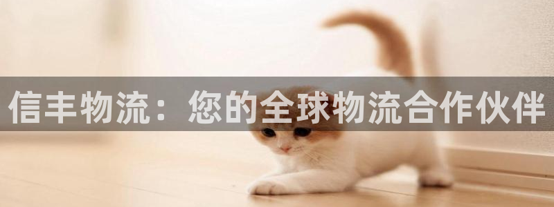 28圈h5链接