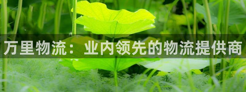 28圈链接多少