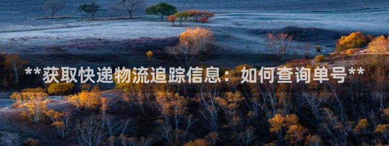 28圈取保