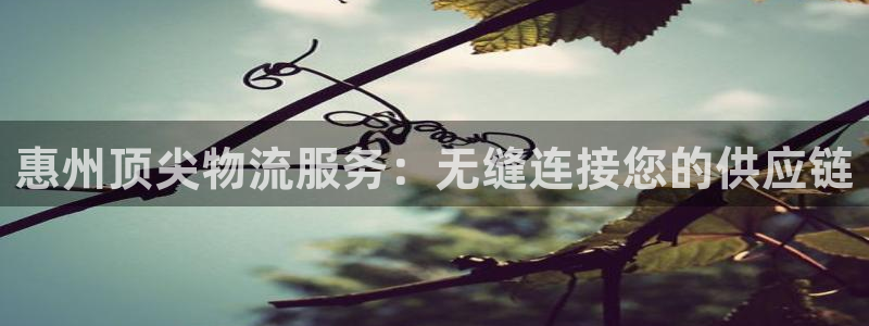 28圈软件