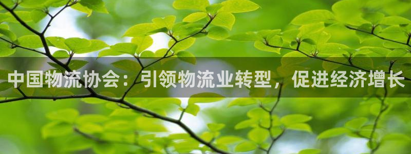 28圈加拿大怎么玩
