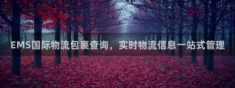28圈为什么打不开：EMS国际物流包裹查询，实时物流信息一站