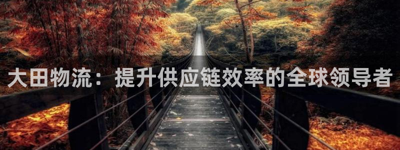 28圈充值不处理
