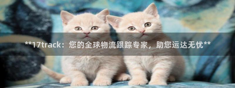 28圈充值不到账怎么回事