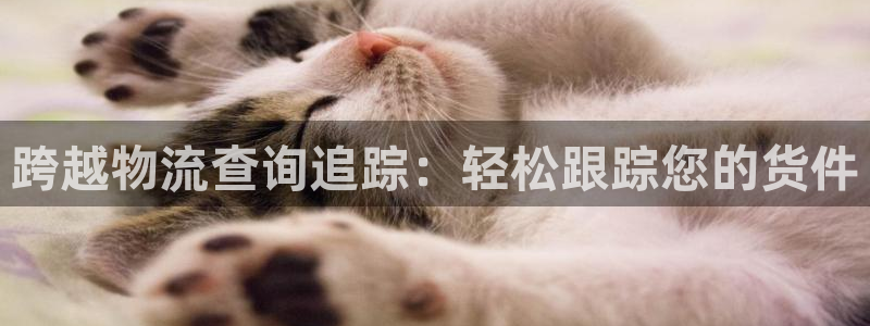 28圈那个才是充值账号：跨越物流查询追踪：轻松跟踪您的货件