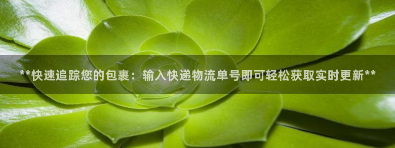 28圈可靠吗：**快速追踪您的包裹：输入快递物流单号即可轻松