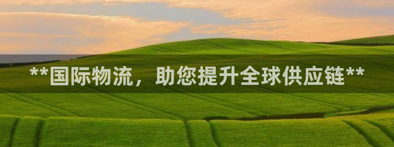 28圈官网版2024：**国际物流，助您提升全球供应链**