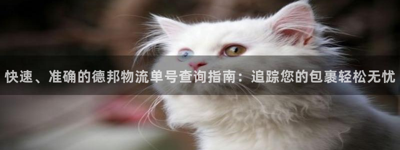 28圈怎么注册游戏名字：快速、准确的德邦物流单号查询指南：追