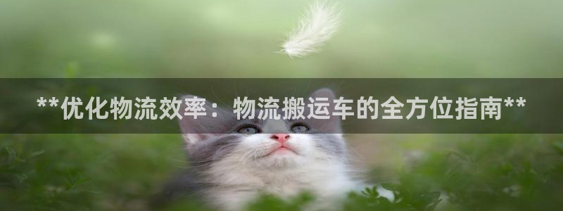 28圈人工客服电话是什么