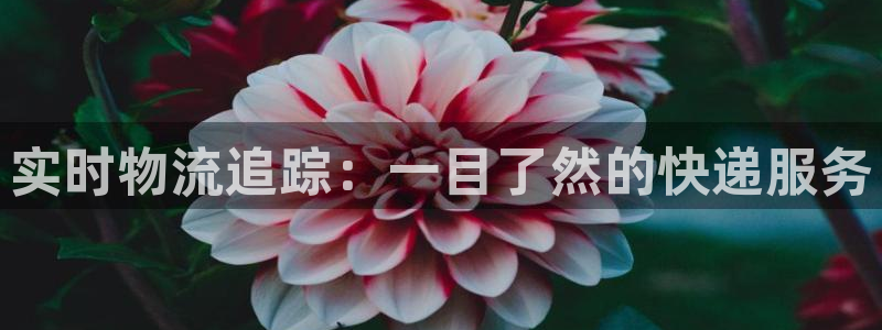 28圈.ccmpc29官网版下载