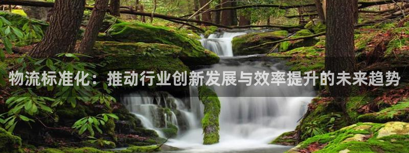 28圈充值方式：物流标准化：推动行业