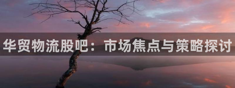 28圈不给提现：华贸物流股吧：市场焦点与策略探讨