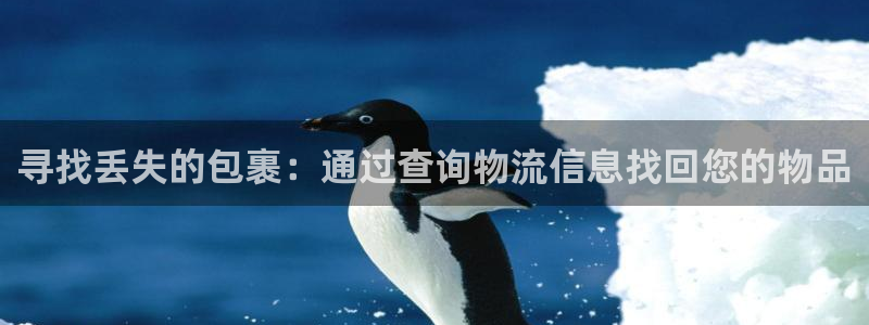 28圈官网下载链接是什么网站：寻找丢失的包裹：通过查询物流信