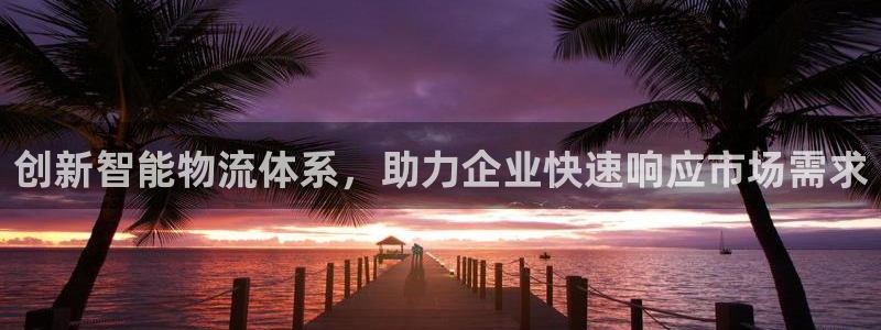 28圈PG电子游戏：创新智能物流体系