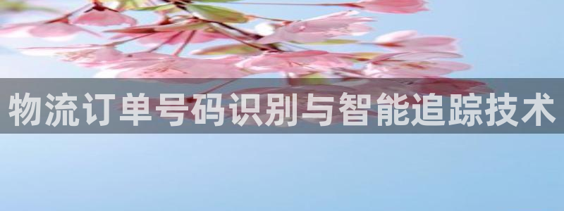 28圈为什么打不开：物流订单号码识别与智能追踪技术