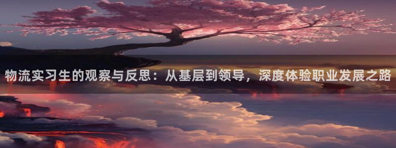 28圈分分28输了能不能退