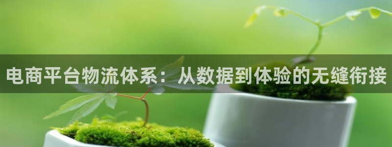 28圈预测加拿大师准：电商平台物流体