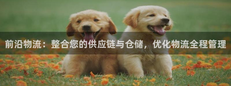 28圈免费充钱：前沿物流：整合您的供