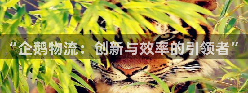 28圈南宫娱乐官网